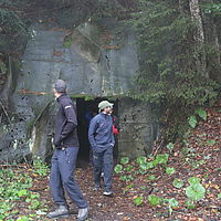 IMG 7461